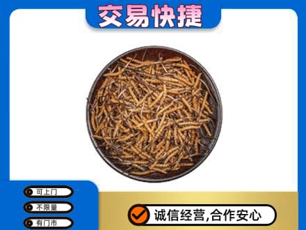 宁海县高价回收散虫草
